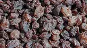 Muscatels-with-Seeds-4kg-Box-Angus-Park_2.webp