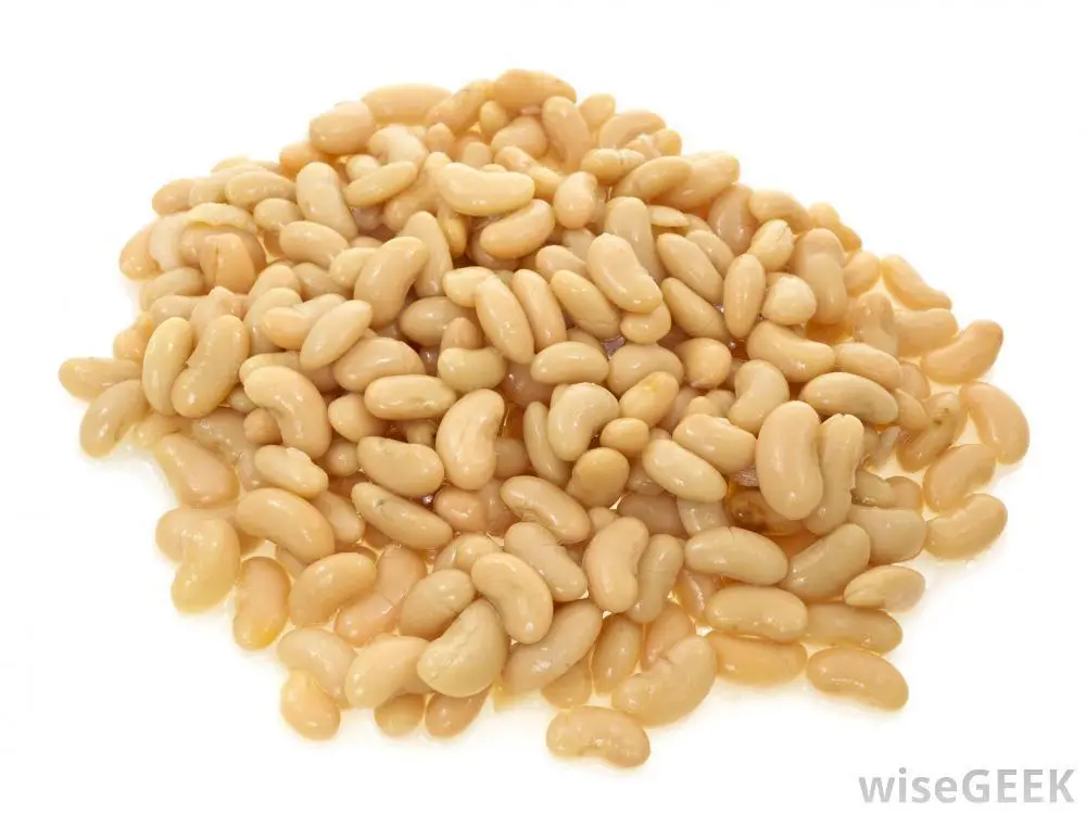 Cannellini-White-Beans-Dried-1kg-Bag-Evoo-QF_2.webp