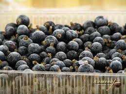 [currants-frzB] Black Currants Frozen 1kg Bag Harvestime